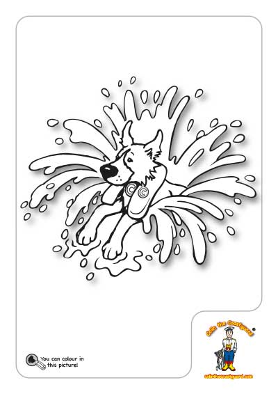 Rocky splash colouring in picture download