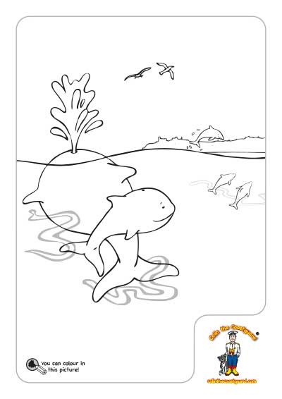 Whales colouring in picture download