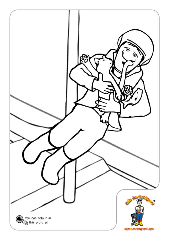 Goodwin colouring in image