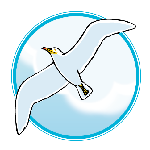 Slippy - Seagull